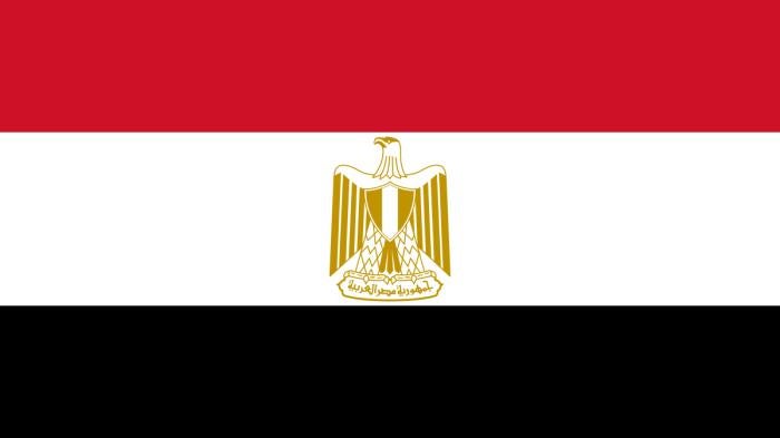 202302mena_egypt_flag