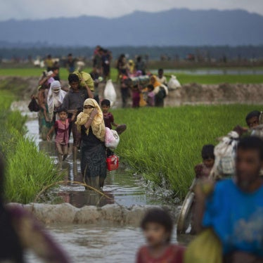 Rohingya walk through rice fields after fleeing across the border from Myanmar to Bangladesh near Teknaf, September 1, 2017.